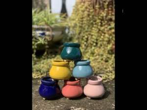Bộ 6 chậu trồng cây sen đá/xương rồng nhập Trung màu pastel