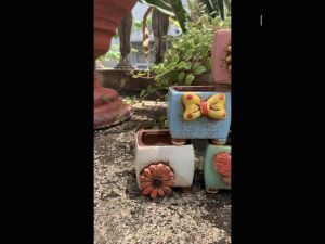 Chậu trồng cây sen đá/xương rồng/bonsai nhập Trung hình hoa nổi/Pot Flower