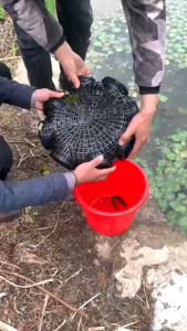 Rọ 8 lỗ Bẫy tôm cua cá lươn trạch