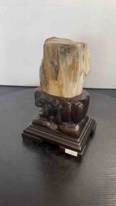 TSK Crystal SHY035 天然树化玉 黄里透白 色泽圆润 特制雕刻实木底座 Natural Tree Fossil Jade