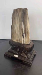 TSK Crystal  SHY033 天然树化玉 黄里透白 色泽圆润 特制雕刻实木底座 Natural Tree Fossil Jade