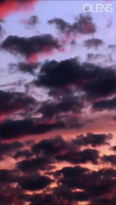 Olens moodnight gray daily 10p 1box (import from korea)