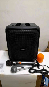 Brodu iKaraoke Box Professional System with 2 Microphones and Colorful Speaker Light BTS-1740
