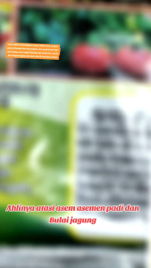 ZINK SUPER 900 gram nutrisi tanaman spesialis atasi asem-aseman pada tanaman padi dan percepat perbanyakan akar dan bantu proses fotosintesis