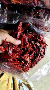 CABE RAWIT TEJA KERING JAPLAK /MEDIUM 1KG PROMO MURAH TERLARIS BISA COD (B)