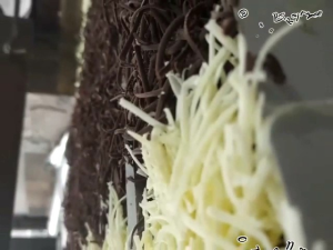 Brownies Panggang Blueberry Coklat Keju