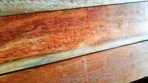 ไม้ท่อน ใส้เรียบ DIY ไม้แคมปัส 4.5 x 7.5 เป็นไม้เต็งมาเลย์ กว้าง 7.5 cm สูง 4.5 cm