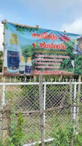 ปุ๋ยน้ำกรีนเอ็กซ์ (อะมิโนโปรตีนพืช)