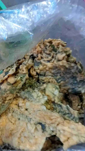 keripik bayem gurih renyah enak nikmat mantap