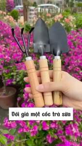 Bộ Dụng Cụ Làm Vườn Mini 3 Món Cán Gỗ: XẻngXúcCàoTiện Dụng BềnThép Không Rỉ
