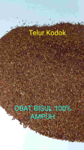 Telor Telur Kodok Obat Bisul 1Kilogram 1000Gram Kg 天仙子 Telor Kodok Obat Bisul Telor Kodok Obat Bisul Murah Telor Kodok Obat Bisul Telor Kodok Obat Bisul