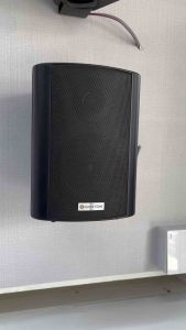 Tone WP-420F 4 100V 20W Wall Mounted Speaker (1pc)Lucky