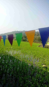 BENDERA SEGITIGA RENTANG FULL WARNA 5 METER