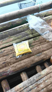 Umpan Pancing Microfishing