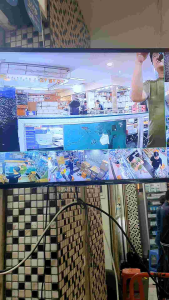 Paket CCTV 8 CH 8 Kamera 5MP ColorVu Audio Siang Malam Berwarna