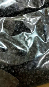 Organic Dried Blueberry 100gran Tanpa campuran