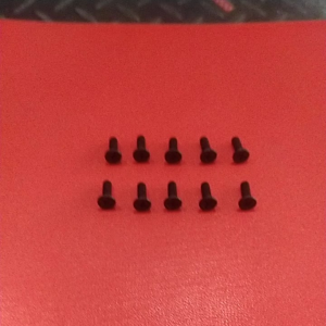 10pcs Baut Tutup Minyak Master Rem JF Verseng M4x12 4mm