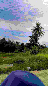 PECI MALAYSIA PREMIUM KOPIAH SONGKOK TERLARIS NO. 1