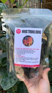 (SALE KHỦNG 30%-60%) Nhục thung dung khô lᴏại 1 víp ( 1kg ) tác dụng nhuận trànġ bổ thận tráng dương kiện gân cốt- Qùa Tây Bắc 27