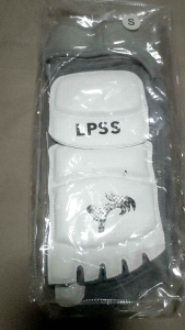 Electronic Socks: LPSS E-socks