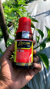 INSEKTISIDA SPONTAN 200ML