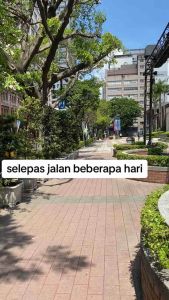 asadi strap adjustable lightweight Clog Shoe 80205 / 50322 | Casual EVA washable daily use [ ready stock ]