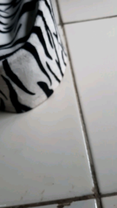 Pecic Putih Dewasa: Desain Elegan & Aksesoris Pria