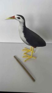 Patung Burung Truwok Kareo Padi - Jontrot burung ruak ruak