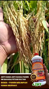 BOMA PUPUK CAIR PENGUSIR & PEMBASMI HAMA + ZPT