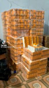 Combo 10 gói giấy ăn gấu trúc màu trắng