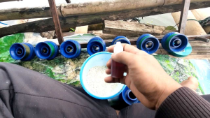 ESEN SPESIAL BABON IKAN NILA