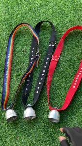 กระดิ่งวัว กระดิ่งควาย กระดิ่งแพะ กระดิ่งสูง เครื่องประดับสัตว์เลี้ยง สินค้าคุณภาพ ส่งไว