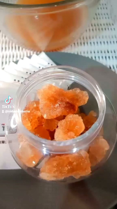 PAKET 4PCS JAMUR SCOBY KOMBUCHA Diameter 9cm-12CM