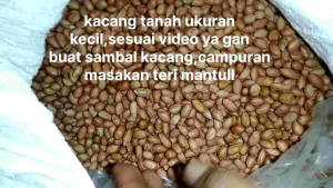 KACANG TANAH MENTAH 1 KG(OB UKURAN KECIL)