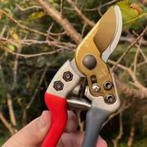 กรรไกรตัดแต่งกิ่งปลายหนากรรไกรตัดแต่งกิ่งดอกไม้ประหยัดแรงงานSK5ผลไม้ต้นไม้ที่แข็งแกร่งเครื่องมือทำสวนไม้ตัดกรรไกรตัดแต่งกิ่งสวนกรรไกรปากโค้งกรรไกรตัดแต่งกิ่งกรรไกรตัดแต่งกิ่ง