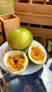 Buah Markisa | Rambusa | Konyal Hutan Segar Berat 1 kg