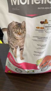 Monello Cat Food 1kg Original Packaging / Repacked Salmon Flavor for Healthy Urinary Tract Avoid UTI Hairball control