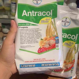 ANTRACOL 70wp(isi bersih 250gram) adalah fungisida untuk mengendalikan penyakit pada tanaman