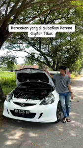 Racun Tikus dari Mouse Rat Killer Sudah Terbukti Ampuh