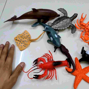 Bộ đồ chơi Cá Biển Ốc Mực Hải Cẩu Cá Mập Cá Heo biển 12 chi tiết Ocean World Fish - đồ chơi bồn tắm dưới nước