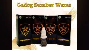 Gadog Sumber Waras: Produk Lokal Indonesia Untuk Anak