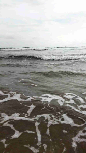 Air laut murni asli 1500ml / air laut asli 15 liter