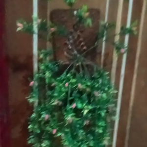 pot hias dinding Artificial premium diameter 15 x30 cm