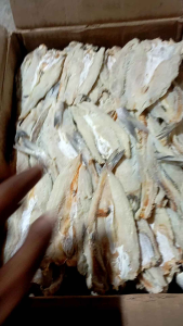 Ikan Asin Bloso / Gulama / palu palu Belah gurih