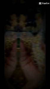 100 hạt harm Bi v.àng tròn kim tiền size 6li 8li 10li chuyên làm vòng tay phụ kiện trang sức.