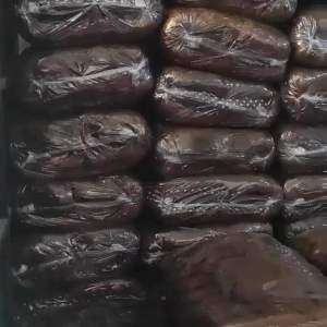 Kasur lantai rasfur//Kasur bulu ( BONUS 2 BANTAL)Kasur gender polos
