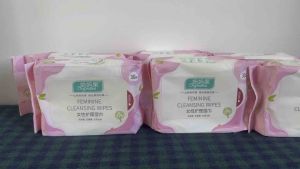 Khăn ướt vệ sinh vùng kín phụ nữ/khăn ướt phụ khoa Wellday 10/30 tờ/gói