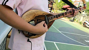 พิณโปร่งไฟฟ้า เนื้อไม้แท้ๆ