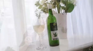 น้ำว่านหางจระเข้S Vera  Plus น้ำว่านหางจระเข้ผสมสารสกัดโกจิเบอร์รี่ successmore