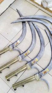 Egrek kolong ada taji